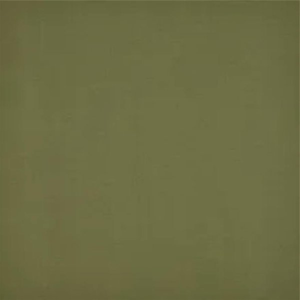 pm.l GREEN 3666 Classic Panama Auflage passend zu Dance Stapelsessel