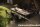 GENTLE Dining-Set